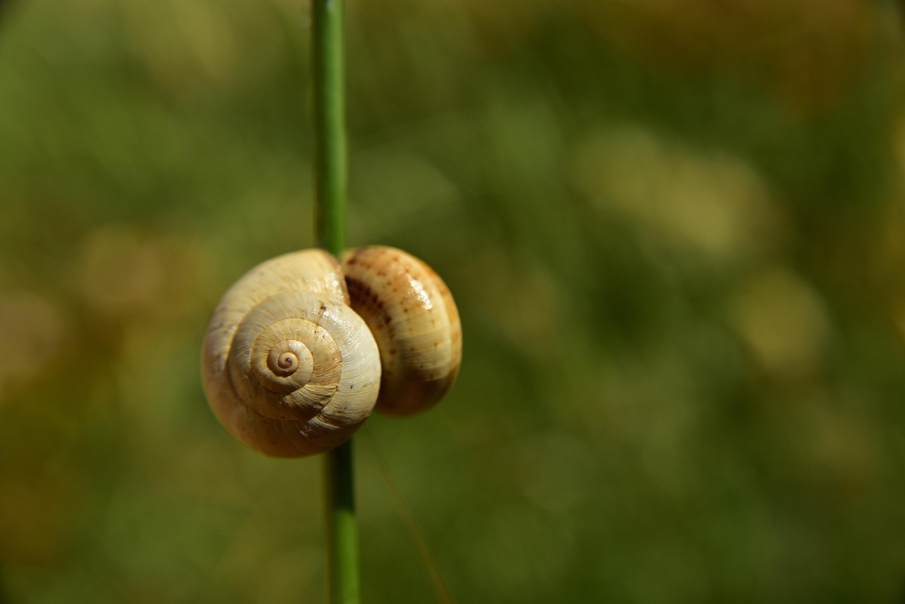 Kompiuterio lėtumas: 7 tikrosios priežastys ir kaip jas išspręsti namuose